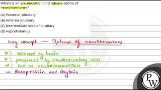 Which is an accumulation and release centre of neurohormones?....