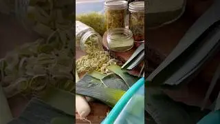 Preserving Leeks Three Ways