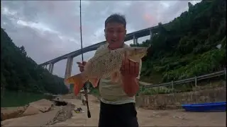 路亚又解锁新鱼种,刚开始以为是鳜鱼,结果 拉出水面有点惊喜