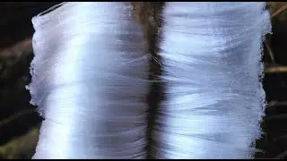 Ice Hair - Ice Wool - Frost Beard - Mandela Effect