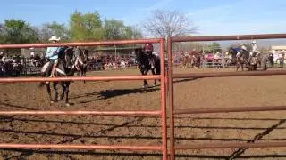Jaripero en Cutler, CA -Miriam Ramirez