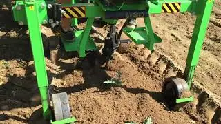 Sarchiatrice MAYA FM1 - su cardo
