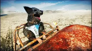 Saving the Dog in Mad Max