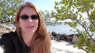 Top Tips For Moving To Florida