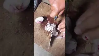 Chilli potato balls🤤♥️ let's make it unique😜♥️...... definitely you will love it♥️♥️