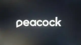 Icon Creative Studio/Peacock/41 Entertainment(2022) Logo