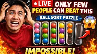 Only 1% can solve this LIVE ball sorting puzzle 