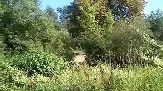 The Neman river at a forest park, Kaunas, Lithuania