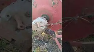 Massey Ferguson Hay Rakes