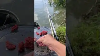 &ldquo;Rural Fishing Vlog One Day Catching Fish in Remote Countryside&rdquo;