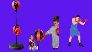 Before You Buy NSG Punching Bag and Boxing Gloves