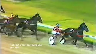 Satinover Meets Pure Steel - 1980 Pacing Cup