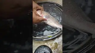 Dica como limpar peixe #peixe #comida