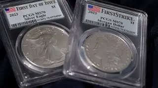 Elevate Your Coin Collection: The Ins and Outs of Professional Grading