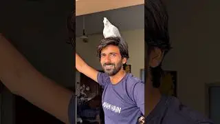 How to Tame a Pigeon (Step By Step Guide) 😱#birds #pigeon #shorts