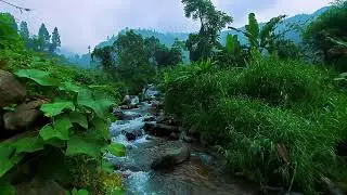 Flowing River Soundscape | Nature White Noise Relax