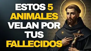 ⚠️SAN JUAN DE LA CRUZ REVELÓ: ESTOS 5 ANIMALES INTERCEDEN POR UN ALMA FALLECIDA — ¡NADIE SABE ESTO!