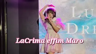 250727 その先はイグザルトCover by LaCrima effim 儚淚 Maro推しカメラ🩷