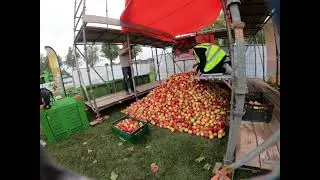 Record Appels stapelen - Timelapse op  Pluk & Oogstfeest 2025