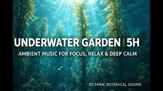 🌊 Underwater Garden | 5H Ambient Music for Focus, Relax & Deep Calm | Oceanic Botanical Sound