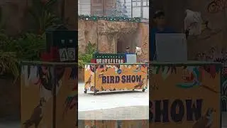 #fun #birds #birdsShow#family #bonding #cebucity #cebuoceanpark