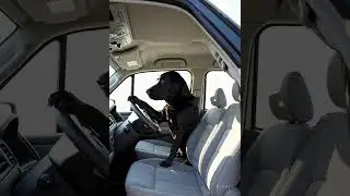 Ein schwarzer Labrador f&auml;hrt einen VW T5