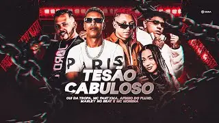 AFINHO DO FLUXO, MC FANTXMA, GUI DA TROPA, MARLEY NO BEAT E MC MORENA - TES&Atilde;O CABULOSO