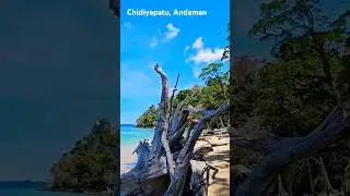 Chidiyapatu, Andaman Islands. #andaman #calm #beach #india #blue #sea #landscape #travel #explore