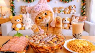 Blogger Cat | Food Blogger Cat | Cat Eating Show | CatEatingShow