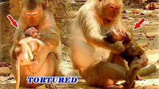 MILLION SAD SEEING MOM JADE TORTURE BABY JAYDEN TOO HARD | BABY JAYDEN EXTREMELY CRYING