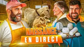 Comment fabrique-t-on le fromage de chèvre ?