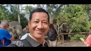 Kulen forest elephant sanctuary 