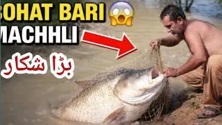 Giant Fish Catch in River | River Fishing Pakistan | Big Fish Catch at river||part 3
