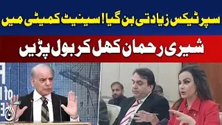 Super Tax Debate | PPP Criticism | Senate Committee Decisions - Aaj Pakistan News
