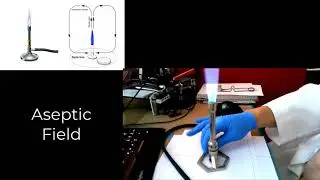 Aseptic Performed V2