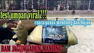 UMPAN GILA !!! TEST BAM JAGUNG ADUN MANCING CUACA MENDUNG DAN HUJAN TERNYATA BEGINI HASILNYA !!!
