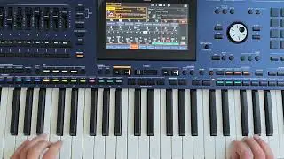 Intrumental Mix Modern Italo Disco Style (Danekoo1 & Korg Pa5x Musicant)