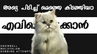 City എത്രയോ ഭേദം...😾 Snowbell (❄️ 🔔) My Malayalam Dubbing Attempt 🎤🦖