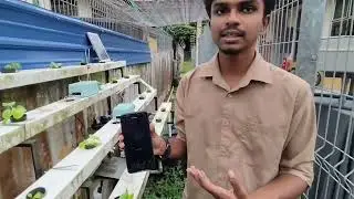 PSM VIDEO_ DEVELOPMENT OF AUTOMATED HYDROPONIC SYSTEM USING SOLAR PANEL AND ARTIFICIAL INTELLIGENCE