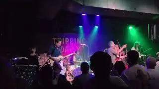 Tripping Daisy 