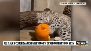John Ball Zoo talks conservation milestones, developments for 2026