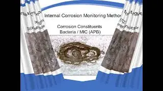 Internal Corrosion Monitoring