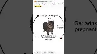 The Gay Thoughts Win 🏳️&zwj;🌈