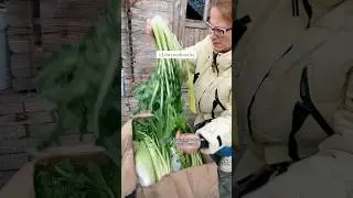 Unboxing Kaninchenkiste! Frischfutter f&uuml;r Kaninchen 🤩 #kaninchen #artgerecht #kaninchenhaltung