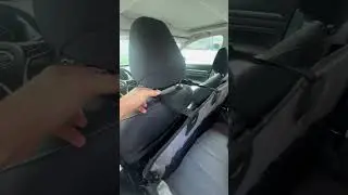 Mixjoy Dog Car Seat setup in the car #dogs