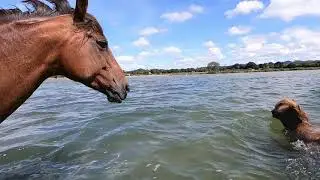 Geoffry and the girls at the beach 2019