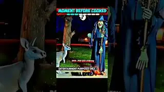 Kick glitch 💀