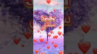 Sindhi Boli Me&hearts;️&hearts;️ #sindhiakhani #sindhishorts  #sindhiboli