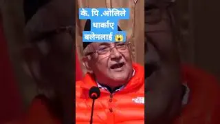KPOli reaction on Balen action #kpoli #viral #trending #nepal #balen #balendrashah #nepalisong #news