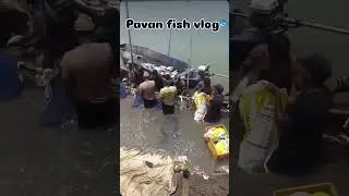 The Future of Food: Telpiya Fish Farming Techniques